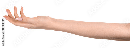 Female caucasian hands  isolated white background showing  gesture holds something or takes, gives. woman hands showing different gestures © Илья Подопригоров