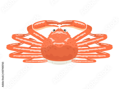 蟹のイラスト