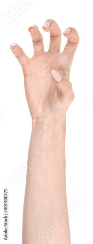 Female caucasian hands isolated white background showing gesture holds something or takes, gives. woman hands showing different gestures