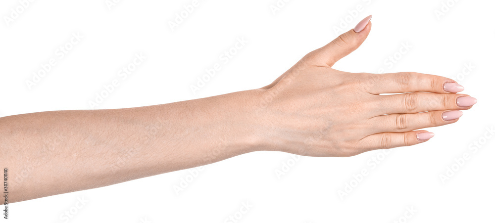 Female caucasian hands  isolated white background showing  various finger gestures. woman hands showing different gestures - obrazy, fototapety, plakaty 