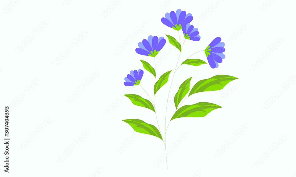 flowers on white background flowers on white background