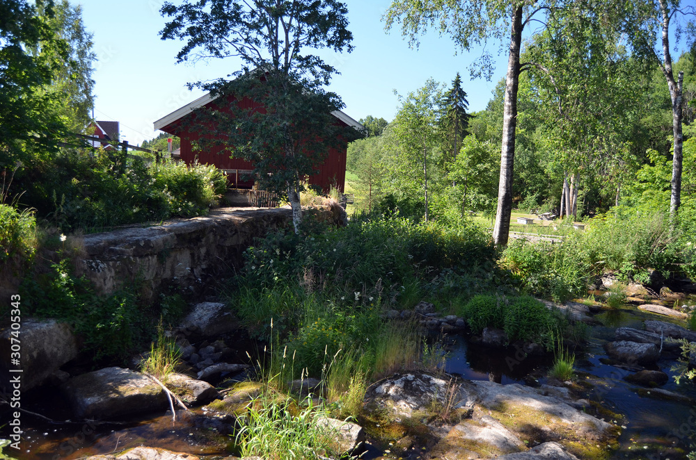 Forest on a summer day in Central Norway Forest on a summer day in Central Norway