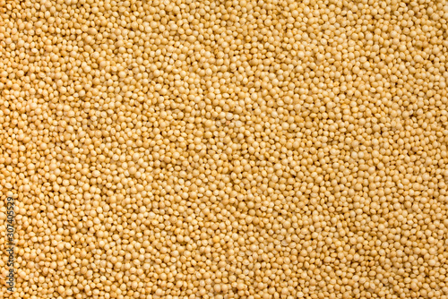 Close up shot of many amaranth grains in a pattern photo