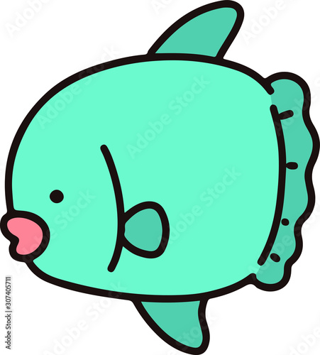 Outlined blue Sunfish