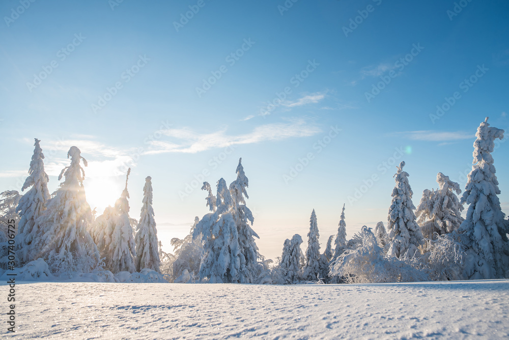 Winter snow covered fir trees on mountains on blue sky with sun