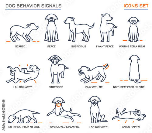 Dog Behavior Icons