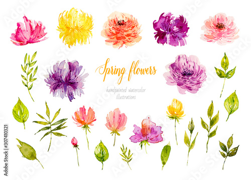 Fototapeta Naklejka Na Ścianę i Meble -  Spring flowers. Watercolor botanical illustration. Watercolor flowers. Big Set watercolor elements - wildflowers, herbs, leaf. Collection garden and wild, forest herb, flowers, branches. Botanic.