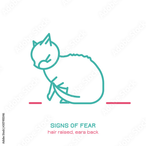Cat fearful behavior icon
