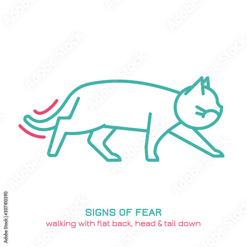 Cat fearful behavior icon