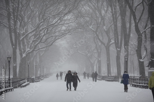 cpouple walking in snowstorm under canopy of trees in New York's Central Park