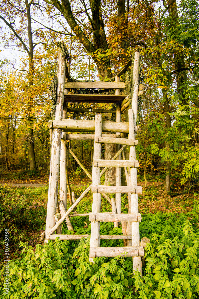 hunting stand in autumn in Germany hunting stand in autumn in Germany