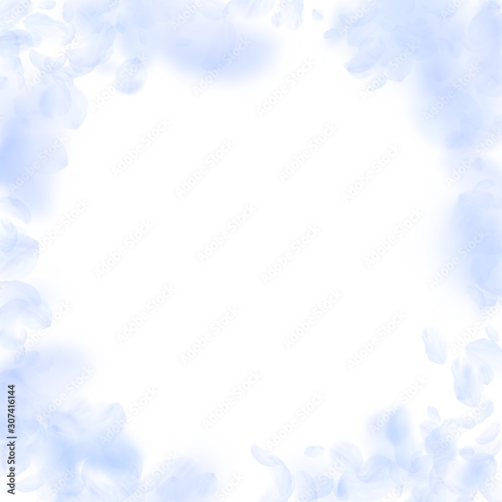 Light blue flower petals falling down. Classic rom Light blue flower petals falling down. Classic rom