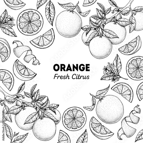 Orange hand drawn package design. Vector illustration. Orange sketch for menu design, brochure illustration. Black and white design. Citrus orange frame illustration. Can used for packaging design.
