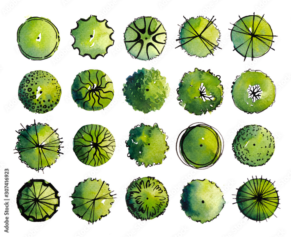 Symbols of Landscape architect plan design by watercolor hand drawn ...