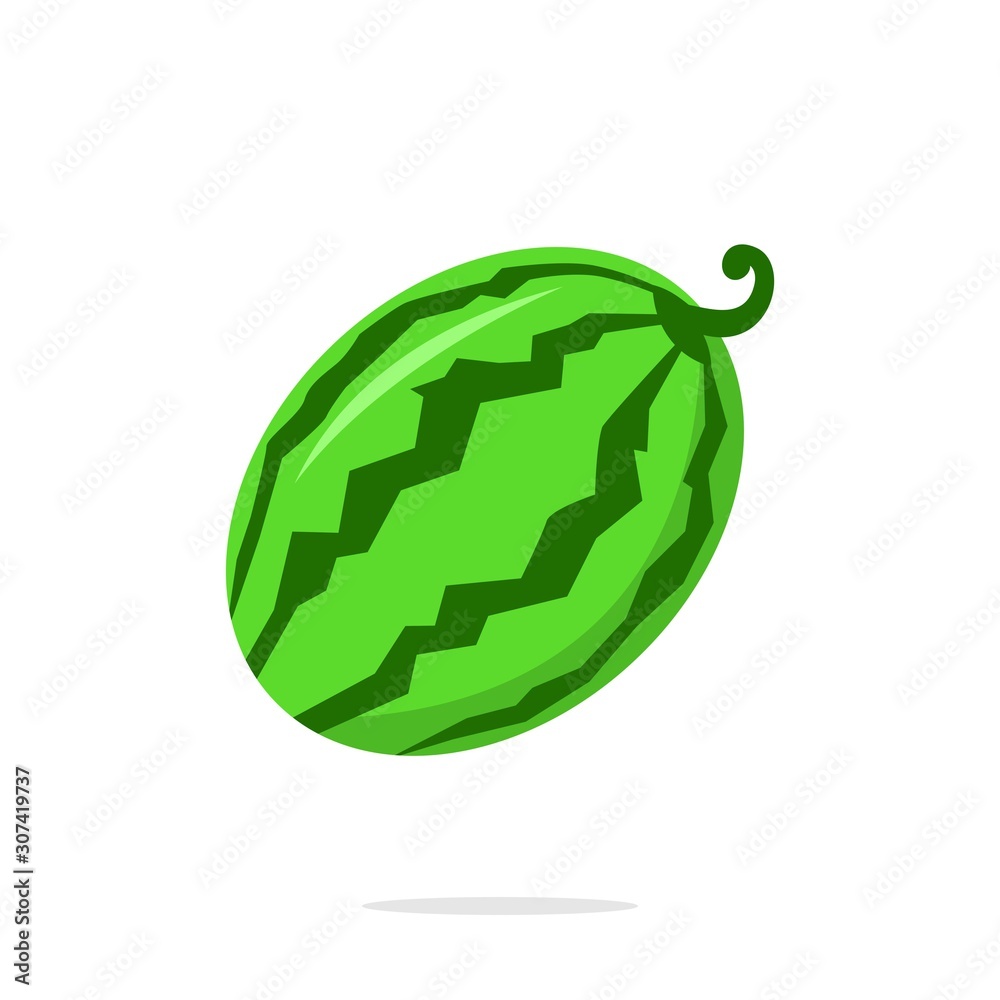Watermelon icon vector, illustration of watermelon isolated on white background
