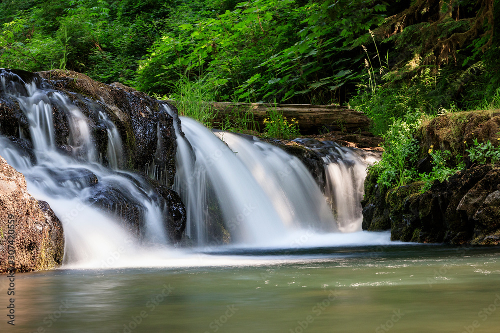 Long exposure of the stream going through Silver Falls State Park near Salem, Oregon. 