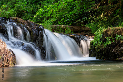 Long exposure of the stream going through Silver Falls State Park near Salem  Oregon. 