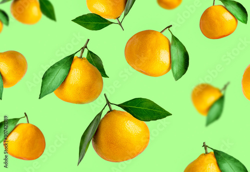 Tangerines of different shapes with leaf on a colored background isolated. Tangerines flying in the air. Christmas composition of a tangerines orange with leaves.