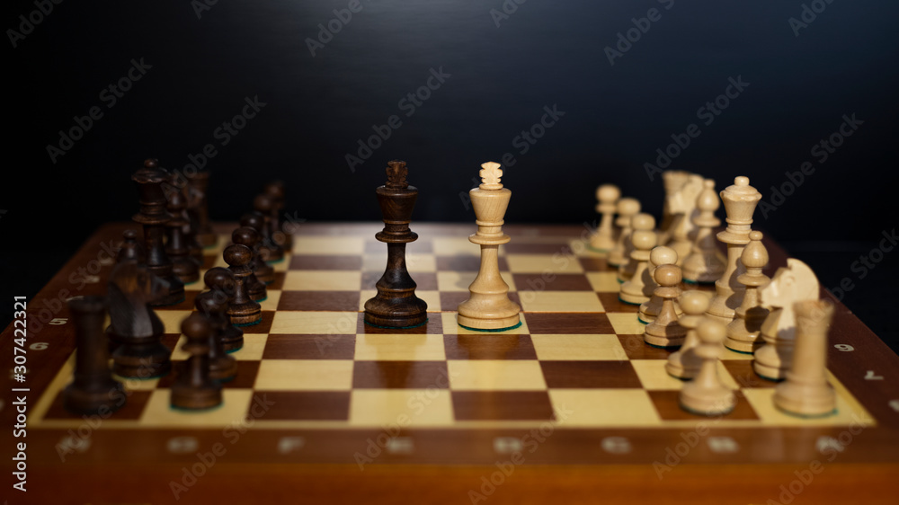 Black and white chess pieces on playing field on dark background . Queens in middle of field. Concept of confrontation in power or business. Black and white chess pieces on playing field on dark background . Queens in middle of field. Concept of confrontation in power or business.