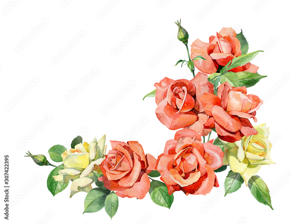Watercolor corner of red roses
