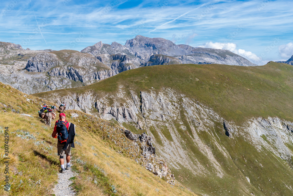Beautiful shot of people hiking with donkeys in the mountains of Mercantour national park, France