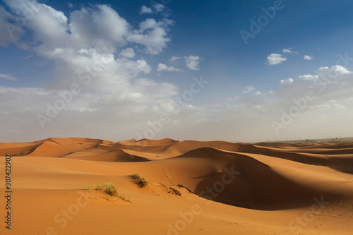 sand dunes in the desert © Chris Sharp