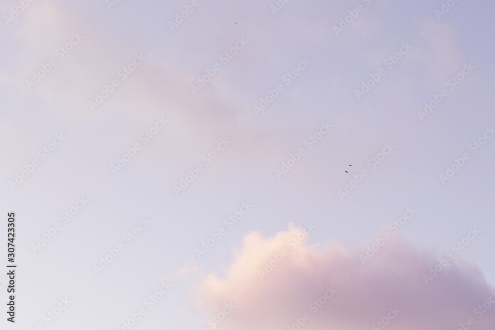 evening cumulus clouds in pastel tones evening cumulus clouds in pastel tones