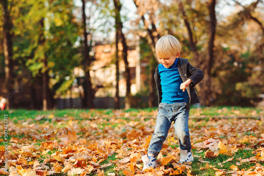 Happy little boy having fun in autumn park. Child wears stylish jacket, jenas and trendy sneakers Happy little boy having fun in autumn park. Child wears stylish jacket, jenas and trendy sneakers