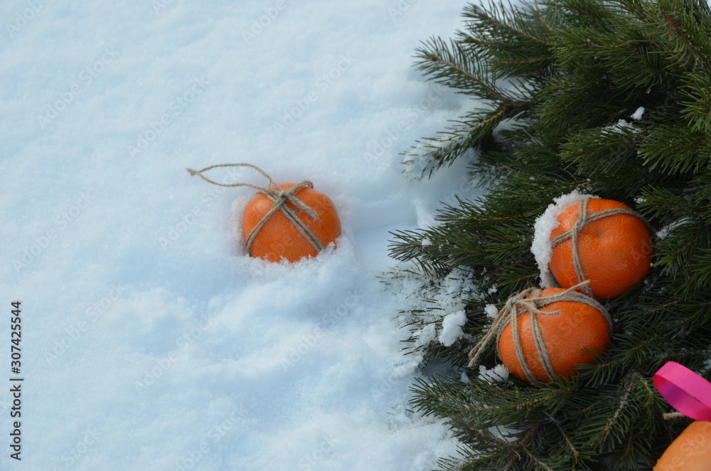 New Year and Christmas concept. Tangerines and spruce branch on fluffy snow. Russian winter. Attributes of the New Year, Christmas. New Year 2020