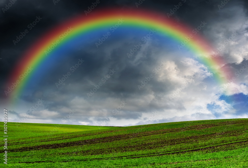 rainbow over the field. picturesque field rainbow over the field. picturesque field