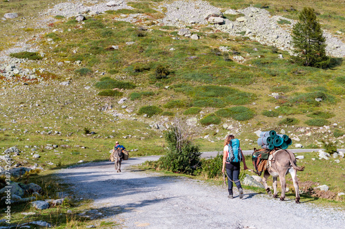 Beautiful shot of people hiking with donkeys in the mountains of Mercantour national park, France photo