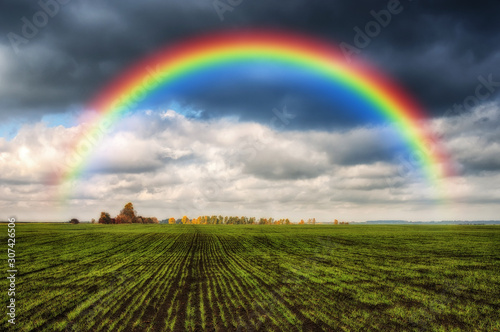 rainbow over the field. picturesque field © sergnester
