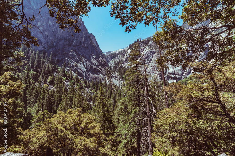 Overview of Yosemite Valley with forest and mountains