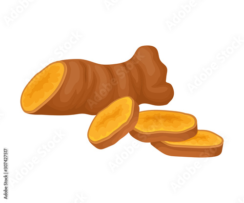 Cut Rout Of Asian Plant Curcuma Of Ginger Family Vector Illustration