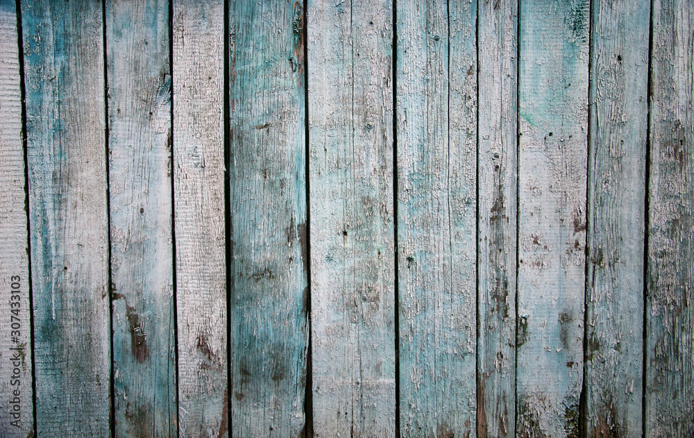 Fototapeta premium Worn old rough-hewn pine vertical wooden boards with scratches and faded light blue paint. Abstract wooden background.