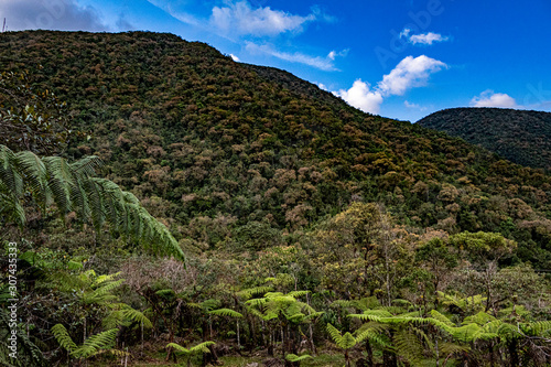 Ruta del Roble, Santander, Boyacá, Colombia