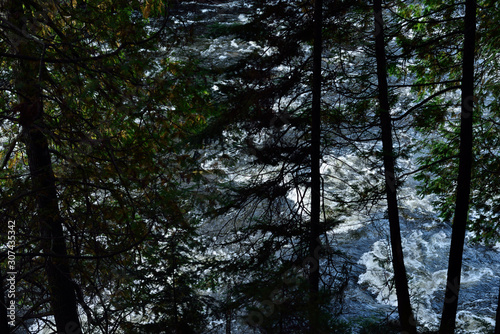 View of Amable du Fond river rapids at Eau Claire Gorge Conservation Area through pine trees