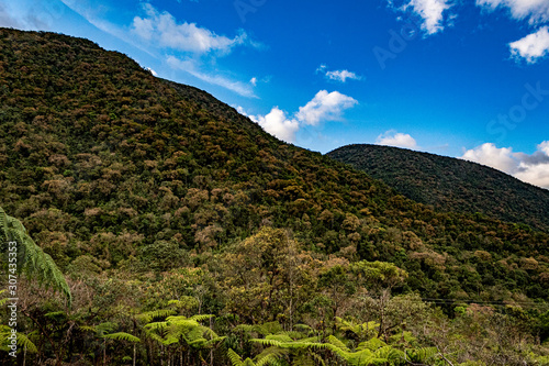 Ruta del Roble, Santander, Boyacá, Colombia