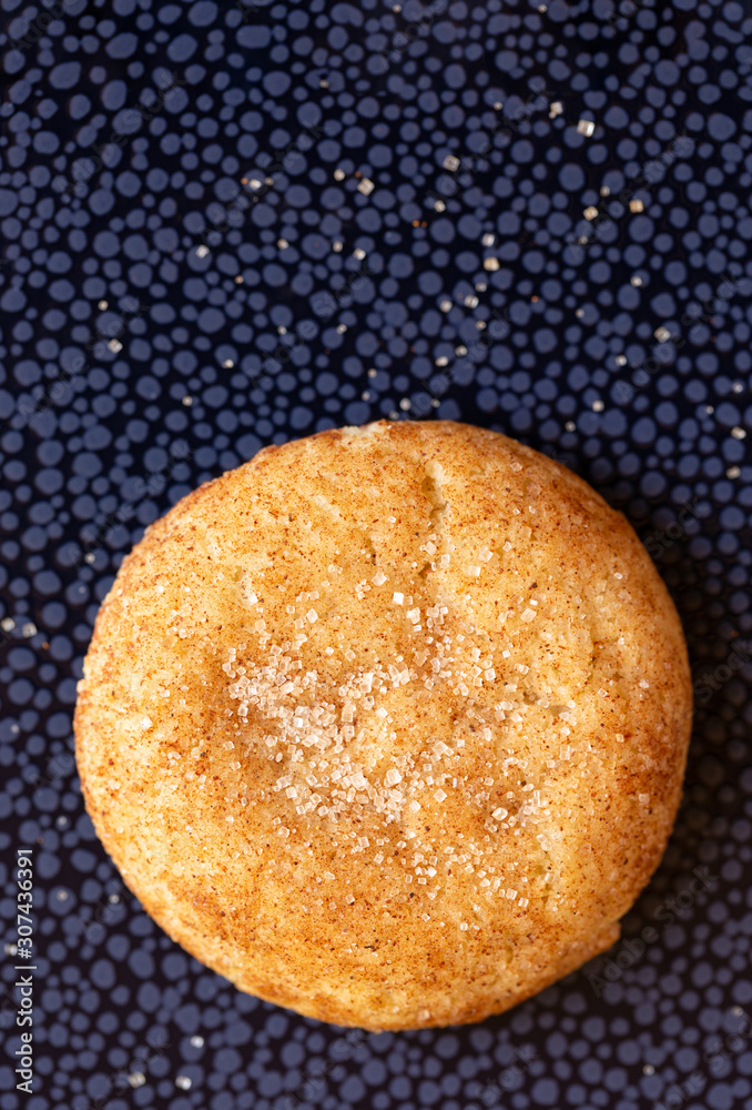 One Snickerdoodle Cookie on a Blue Surface