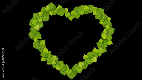 heart sign frame of green leaves