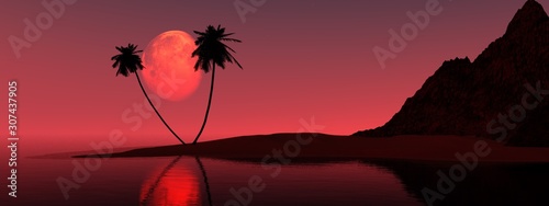 Moon over palm trees, night beach with palm trees under the moon. 3d rendering.