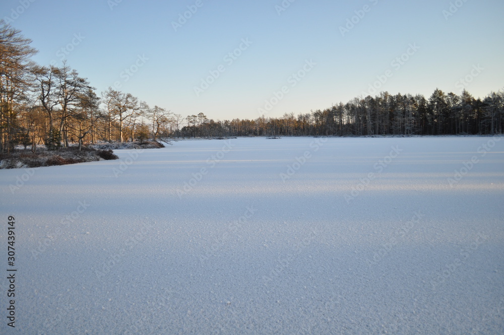 Beautiful snowy and frozen bog lake with small tree-covered islands lit by the cold winter sun and making long shadows on the snow, in Cena Moorland, Latvia Beautiful snowy and frozen bog lake with small tree-covered islands lit by the cold winter sun and making long shadows on the snow, in Cena Moorland, Latvia