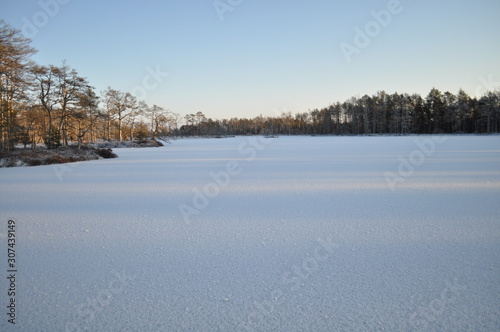 Beautiful snowy and frozen bog lake with small tree-covered islands lit by the cold winter sun and making long shadows on the snow, in Cena Moorland, Latvia