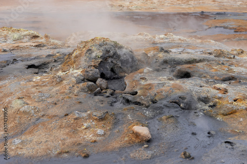 Hot mud pots in the Geothermal Area Hverir in Iceland. Europe
