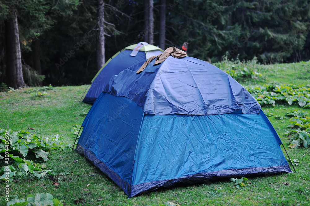 tourist tents in forest at campsite tourist tents in forest at campsite