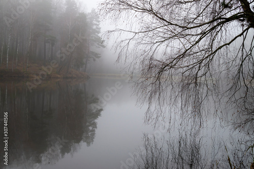 Reflections on a tranquil lake with autumn mist
