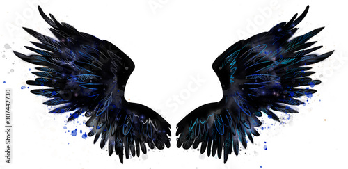 Beautiful black magic raven wings watercolor drawing
