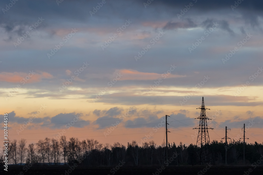 Silhouettes of trees, power lines at sunset on a winter evening.