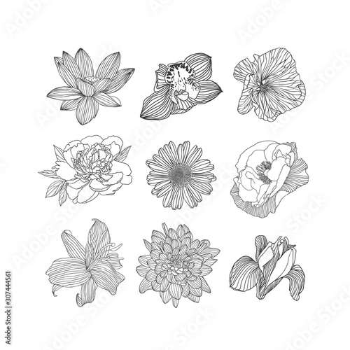 Set of nine different flowers