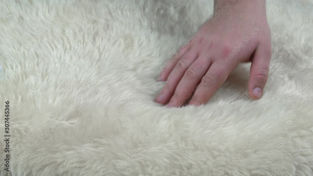 Male hand touching fluffy texture of real animal fur. Closeup of a man hand stroking natural fluffy, warm and soft wool. tenderness and wealth concept Male hand touching fluffy texture of real animal fur. Closeup of a man hand stroking natural fluffy, warm and soft wool. tenderness and wealth concept